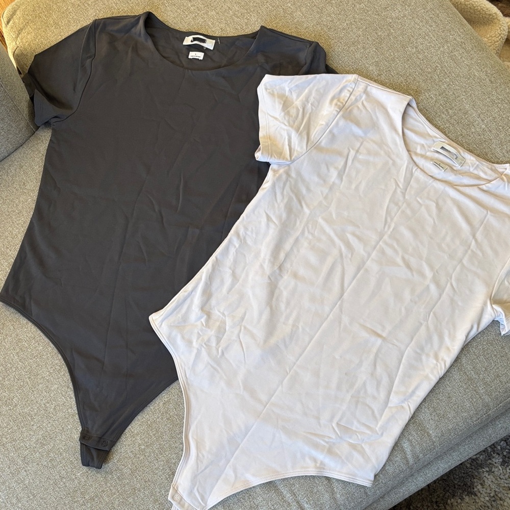 2 Aritzia NEW Babaton Gray and Lavender Bodysuit Set - Picture 1 of 8